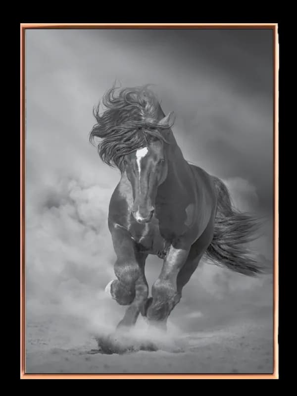Running Horse Plakat