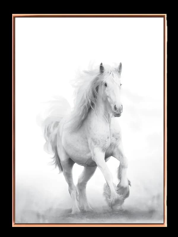 White Horse Plakat