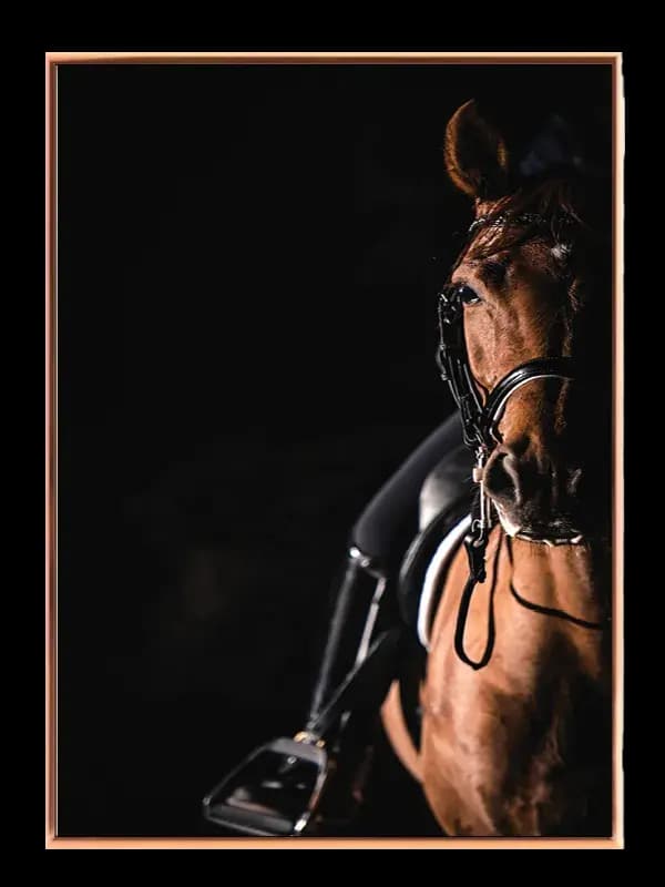 Chestnut Horse Plakat