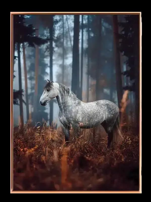 Dapple Gray Horse Plakat