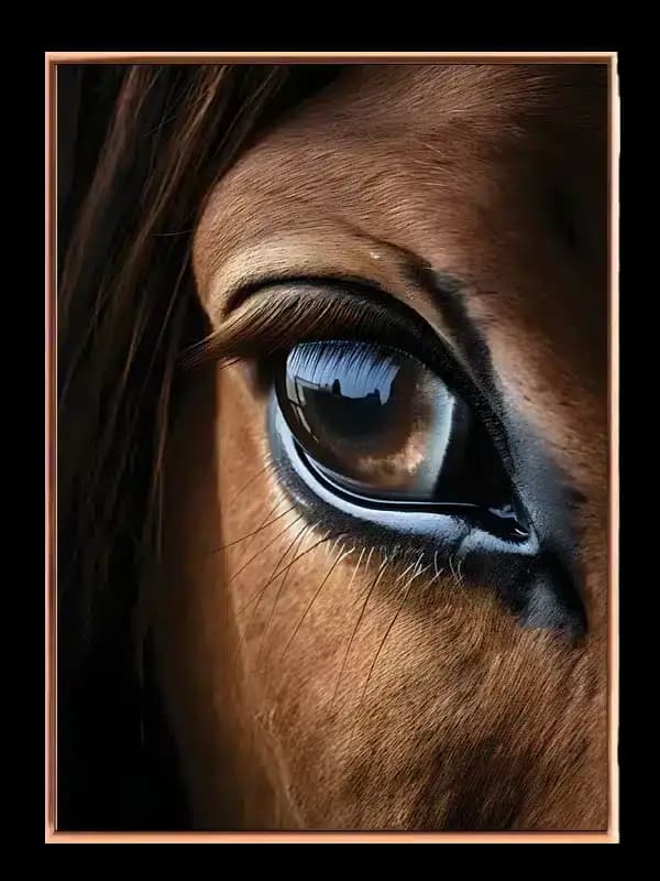Horse Eye Close Up Plakat