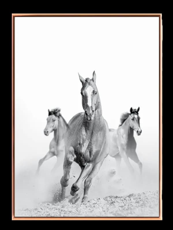 Running Horses Plakat