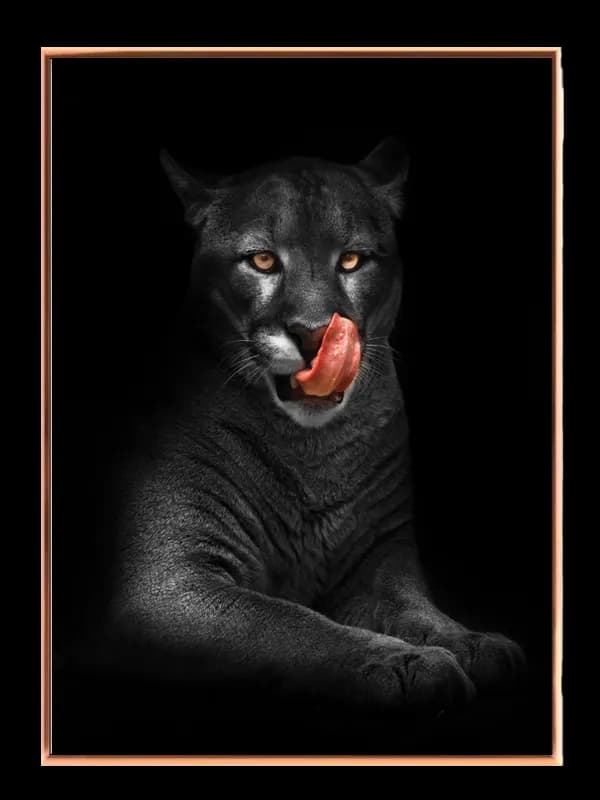 Black Panther Close Up Plakat