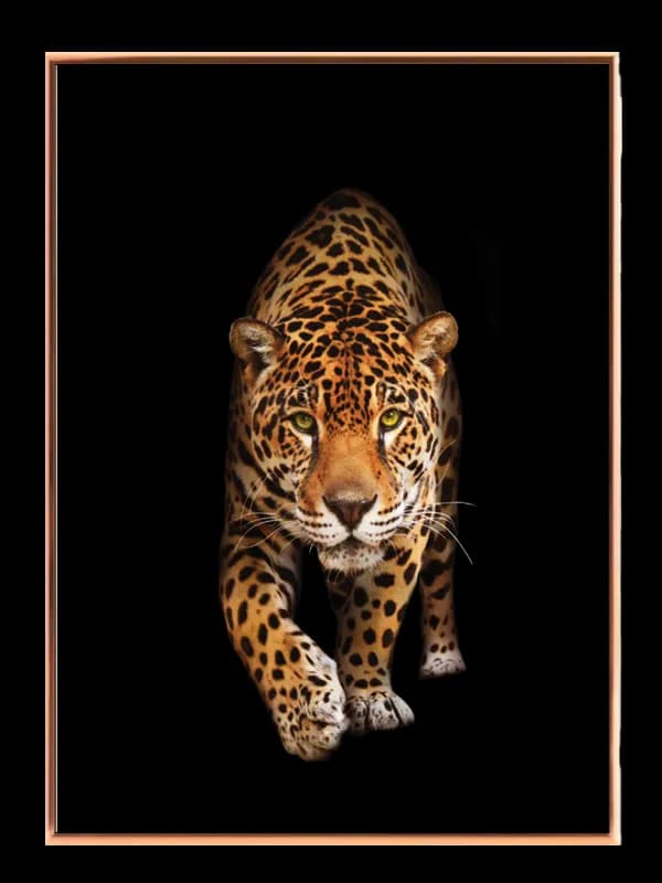 Kat Jaguar Plakat
