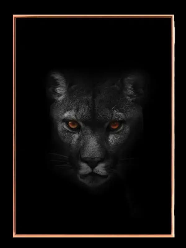 Panther Close Up Plakat