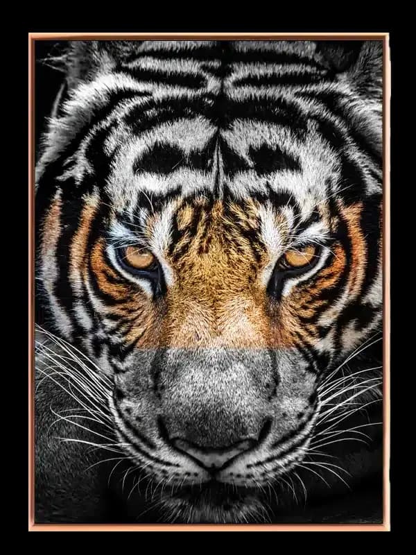 Tiger Face Plakat
