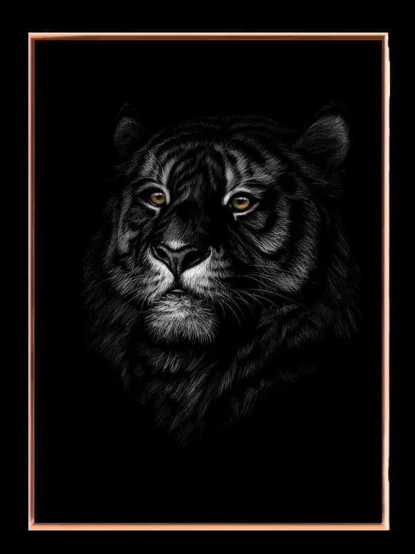 Black Tiger Plakat
