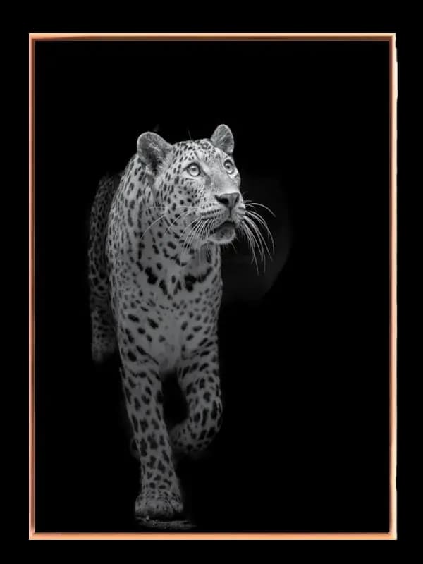 Leopard In Motion Plakat