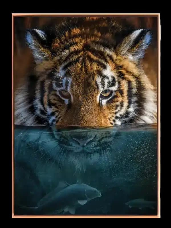 Tiger Underwater Plakat
