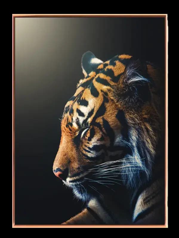 Tiger Profile Plakat
