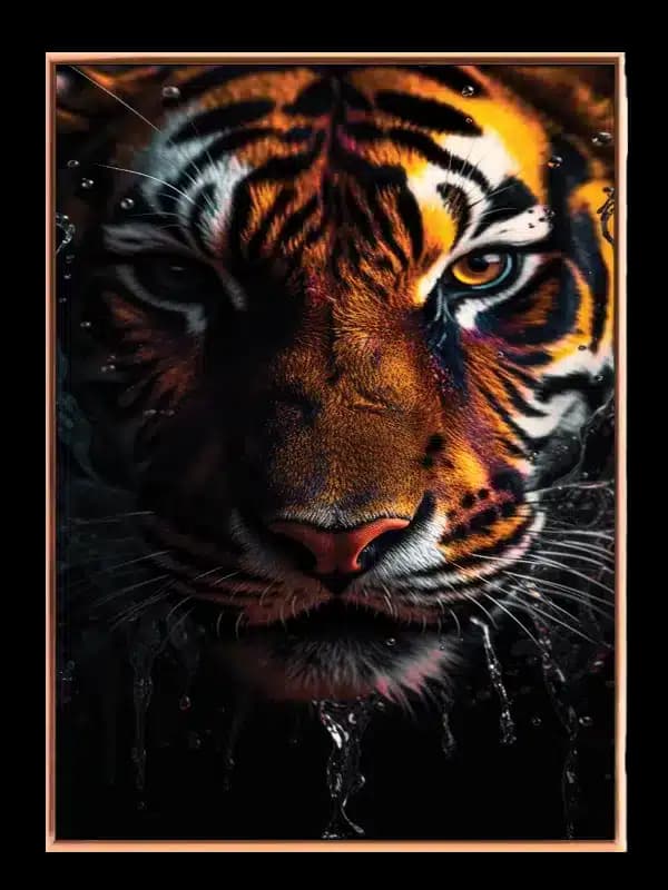 Tiger Face Closeup Plakat