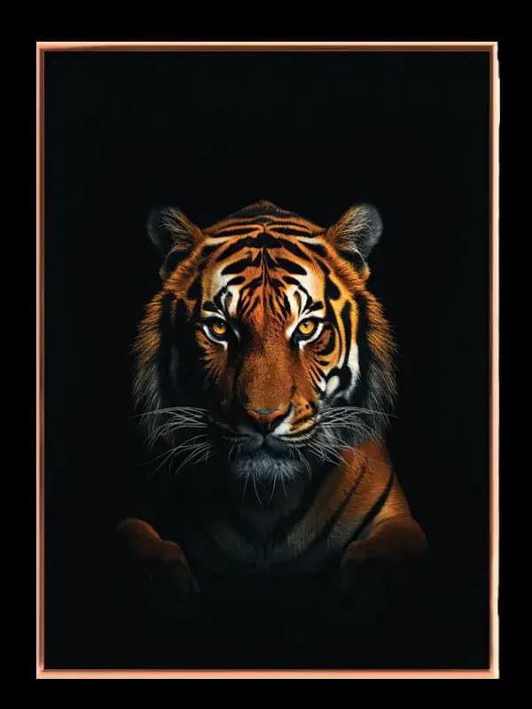 Tiger Dark Background Plakat