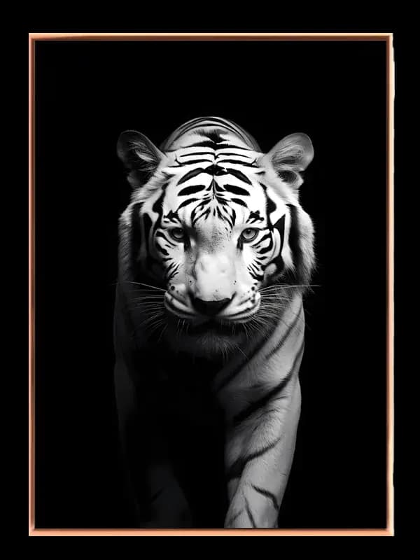 White Tiger Portrait Plakat