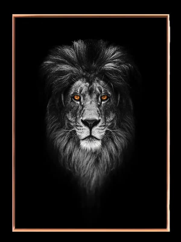 Lion Head Portrait Plakat