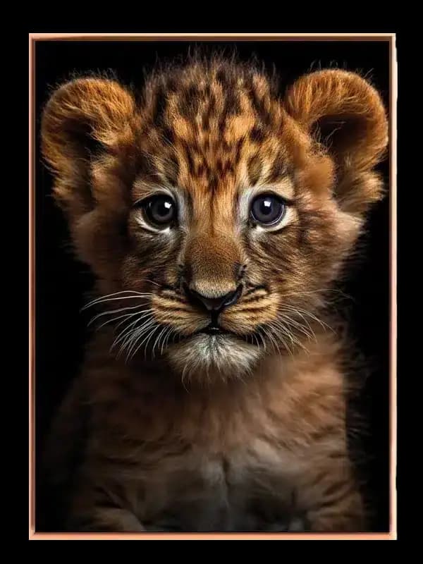 Lion Cub Close Up Plakat