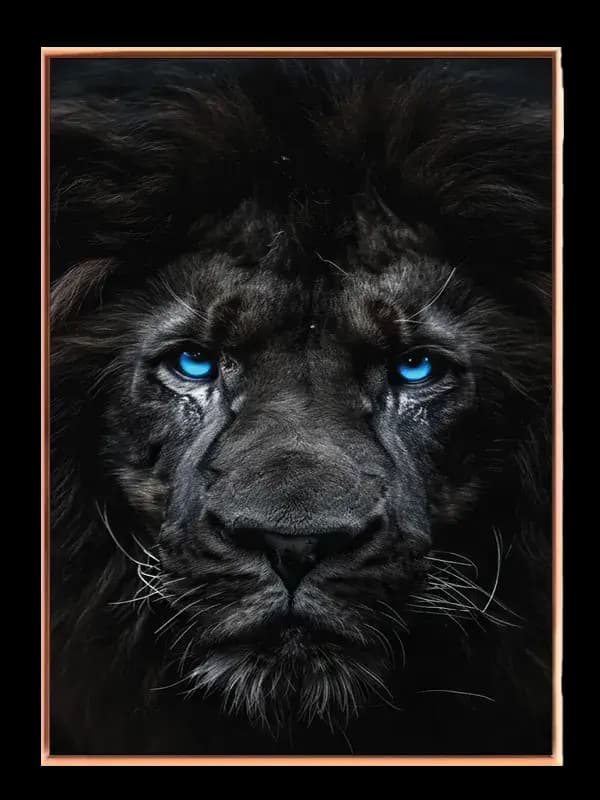 Black Lion No3 Plakat