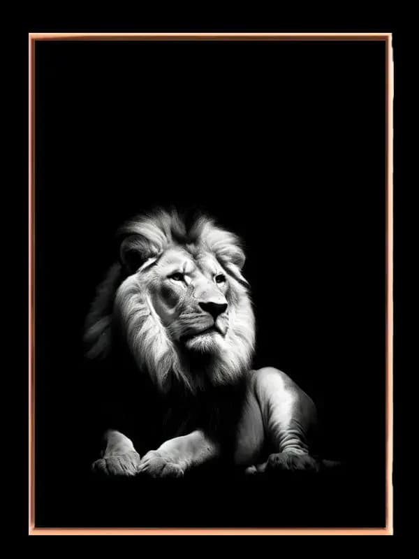 Lion Reclining Plakat