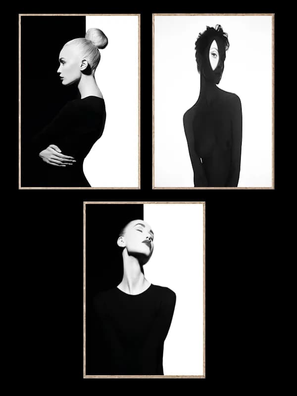 Noir Symmetry