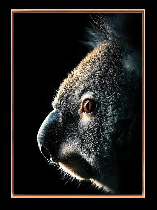 Koala Portrait Plakat
