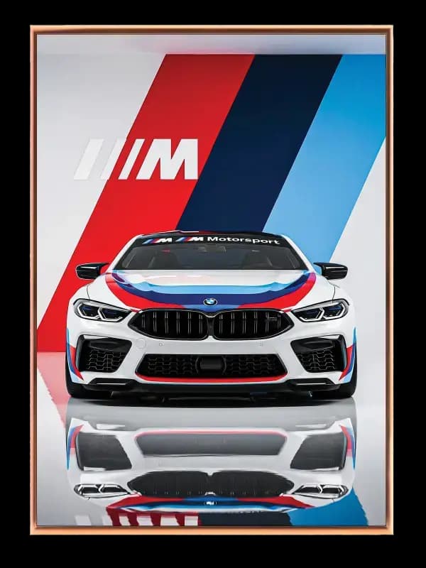 BMW M Motorsport Kraft